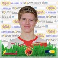 Viktor Petersen