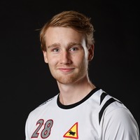 Magnus Harryson