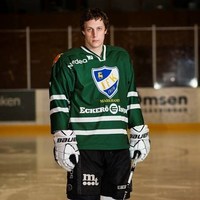 Niklas Manselin