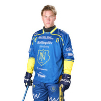 Ludvig  Ivarsson