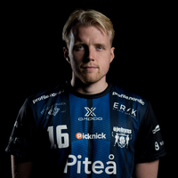 Maximilian Hermundstad