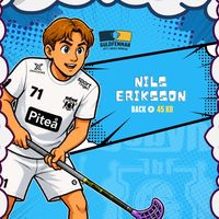 Nils Eriksson