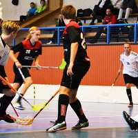 Daniel Gustafsson